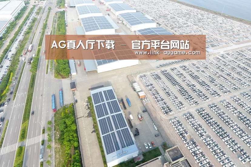 案例展示一
