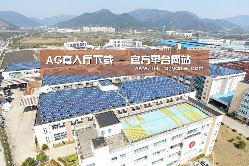 案例展示三