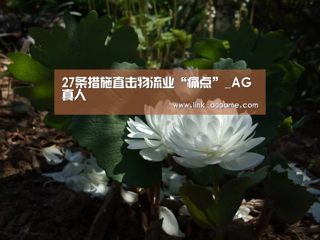 27条措施直击物流业“痛点”_AG真人(图3) 27条措施直击物流业“痛点”_AG真人(图3)