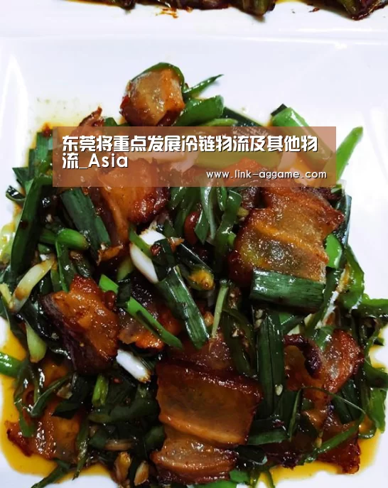 东莞将重点发展冷链物流及其他物流_Asia(图3) AG真人