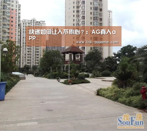 快递如何让人不揪心？：AG真人app(图1)