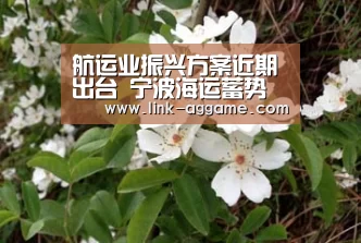 航运业振兴方案近期出台 宁波海运蓄势待发-AG真人官网(图1) AG真人app