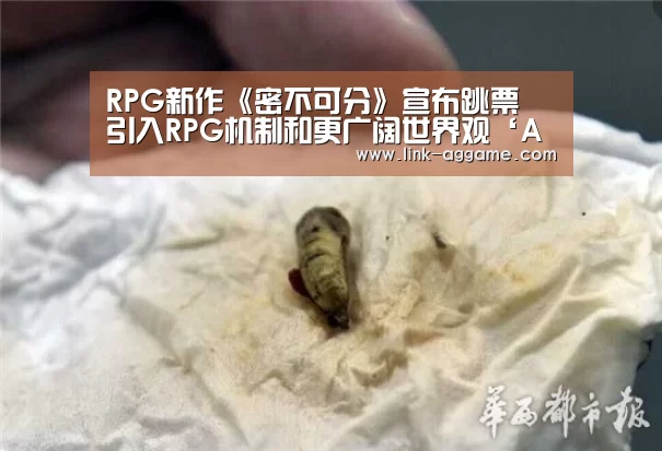 RPG新作《密不可分》宣布跳票 引入RPG机制和更广阔世界观‘AG真人app’(图1)